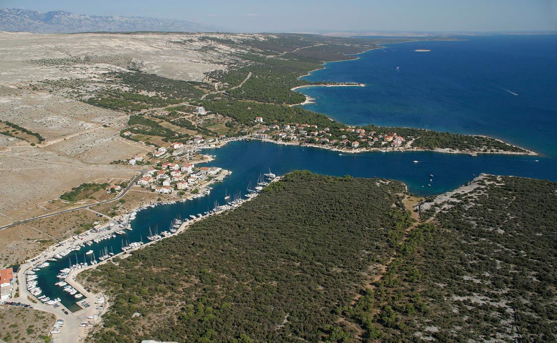 Šimuni